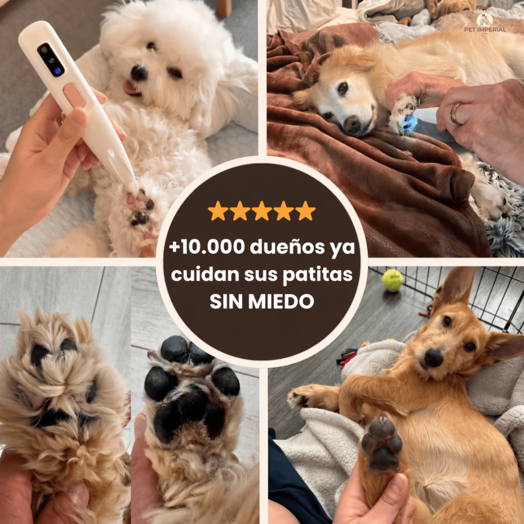 Recortadora Imperial Pro® Cuida a tu peludito sin miedo y sin lastimarlo